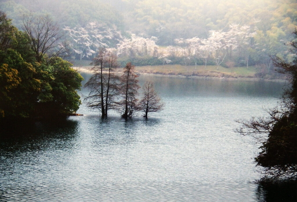 「ダム湖の春」竹内弘征